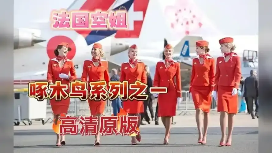 法国空姐,航空空乘,电影,高清无删减相关资源图片